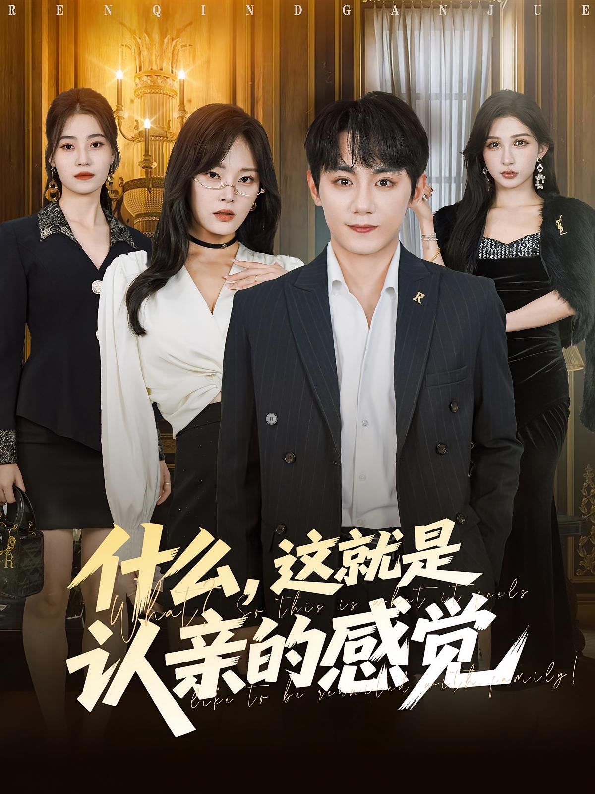 小戏骨红楼梦刘姥姥进大观园的海报