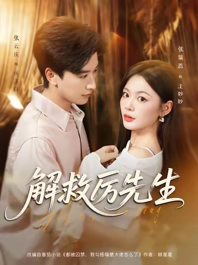 解救厉先生的海报