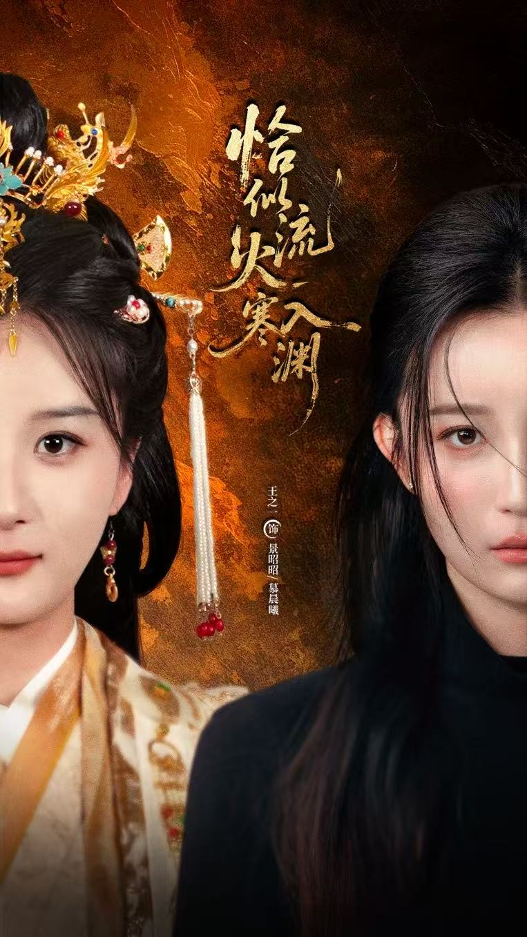 恰似流火入寒渊的海报