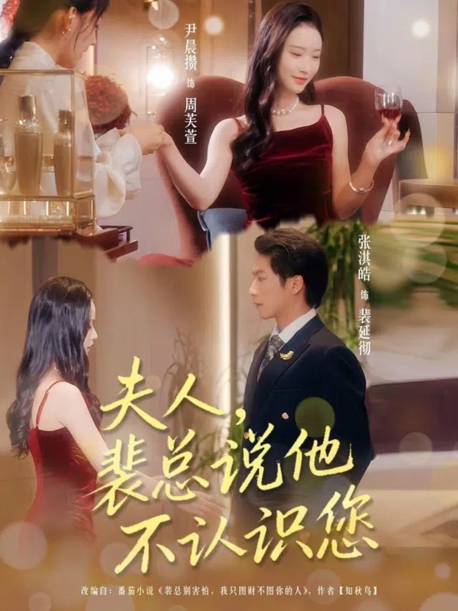 夫人裴总说他不认识您的海报