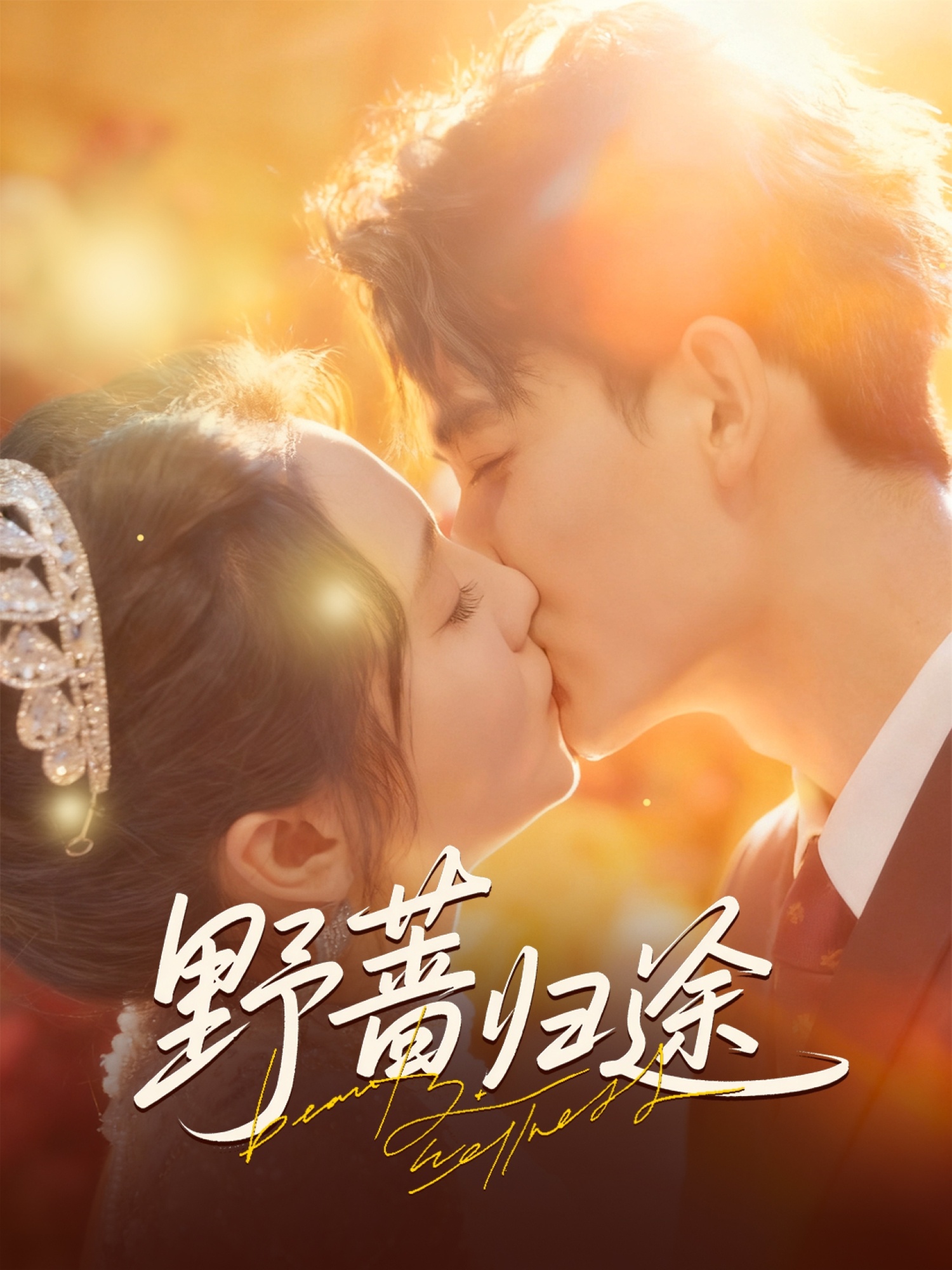 野蔷归途的海报