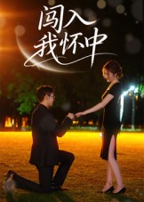 闯入我怀中的海报