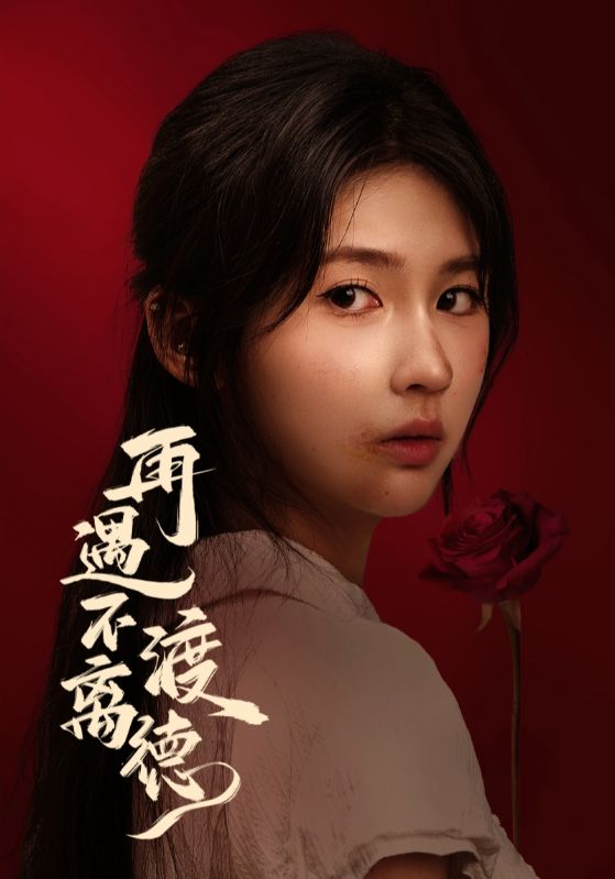 再遇不渡离德的海报