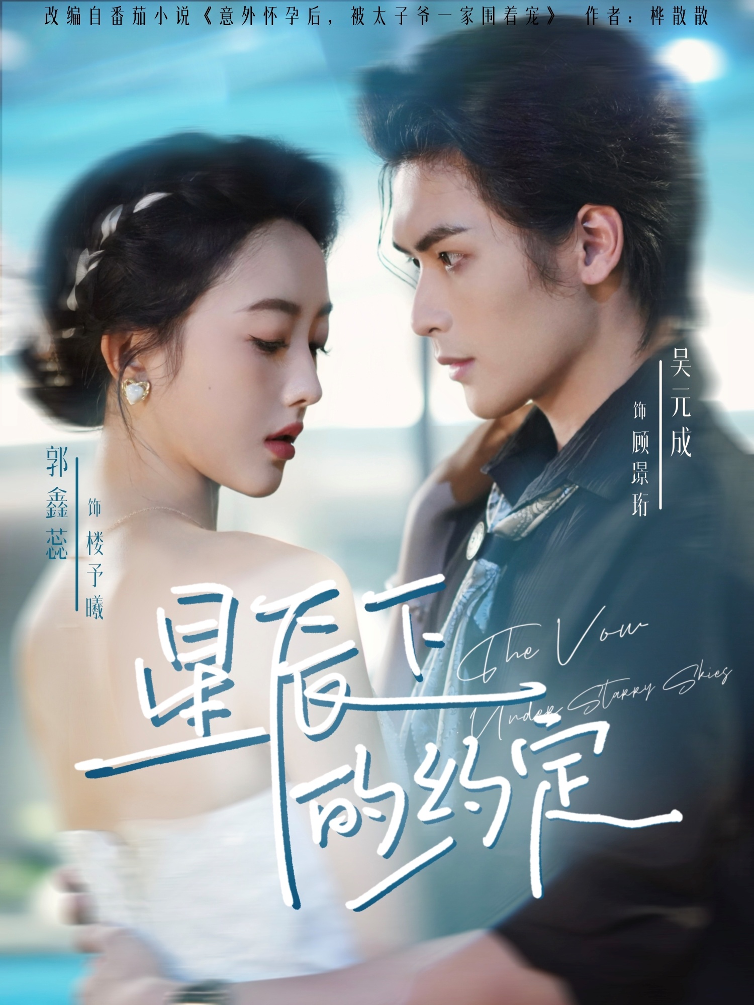 星辰下的约定的海报