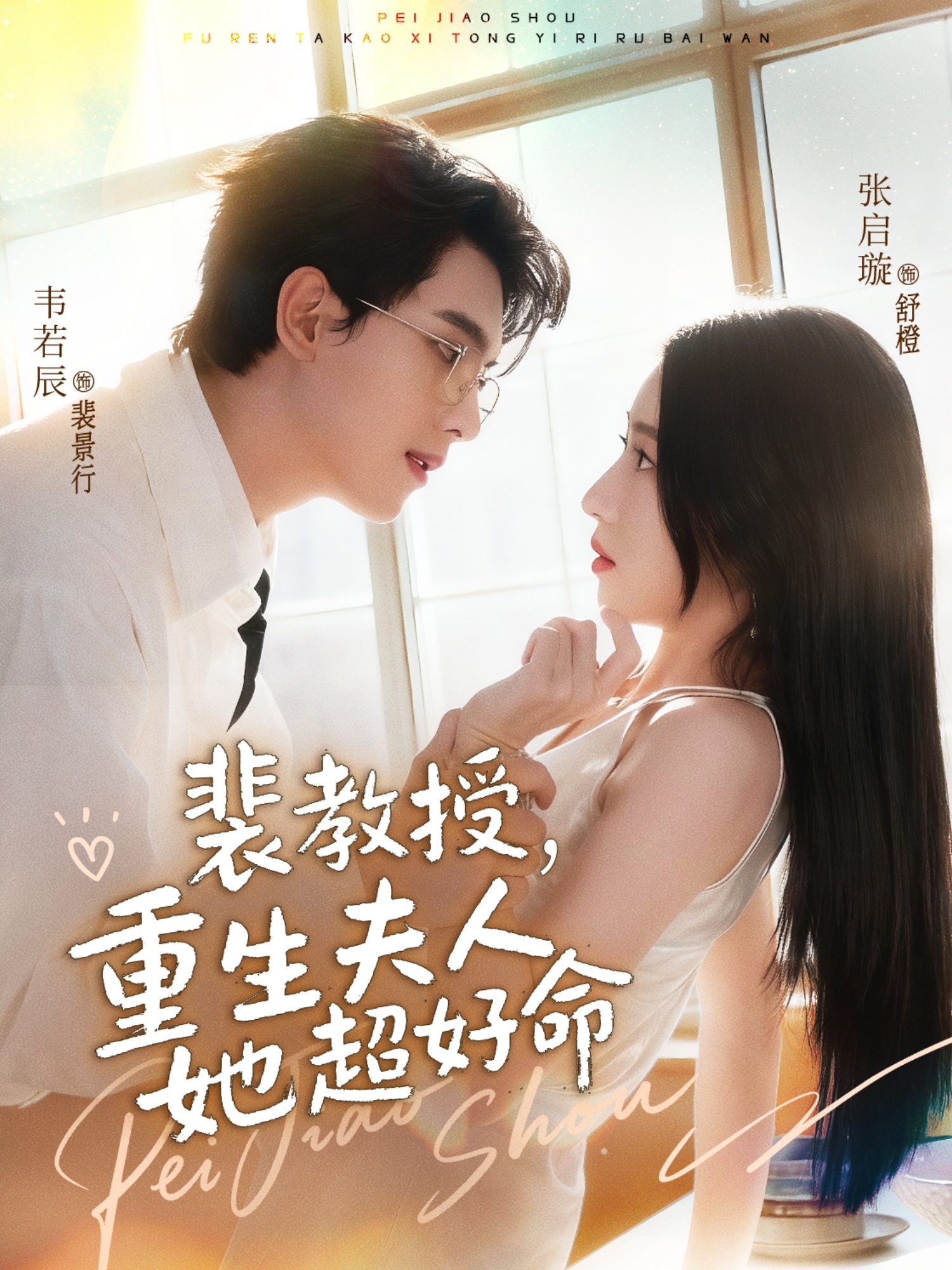 裴教授，重生夫人她超好命的海报