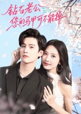 钻石老公，您的马甲不能掉的海报