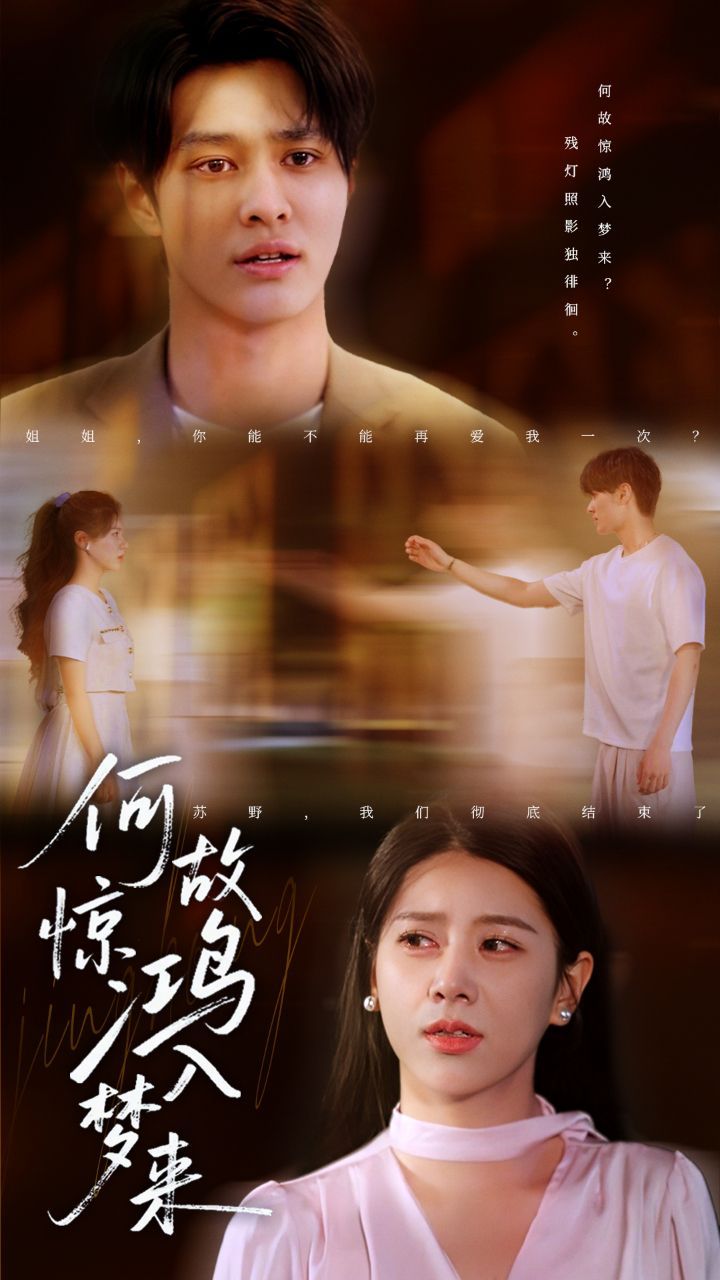 何故惊鸿入梦来的海报