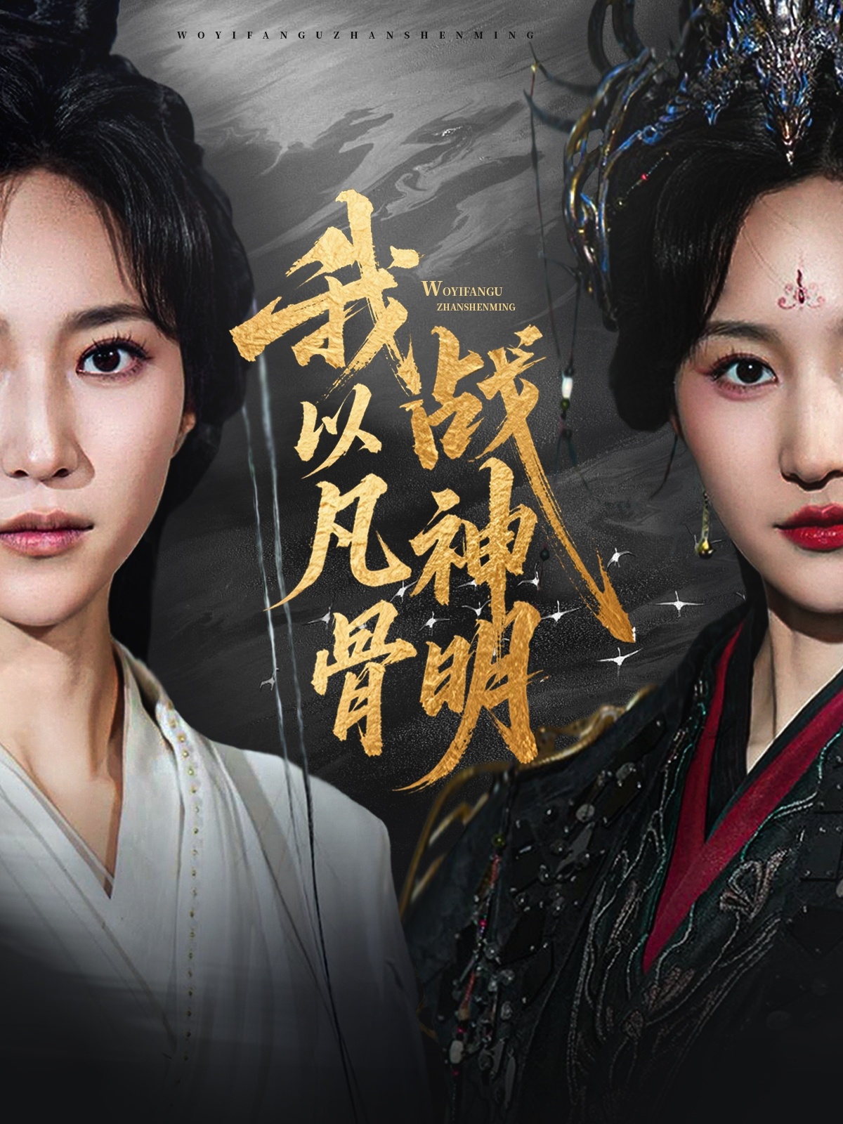 我以凡骨战神明的海报