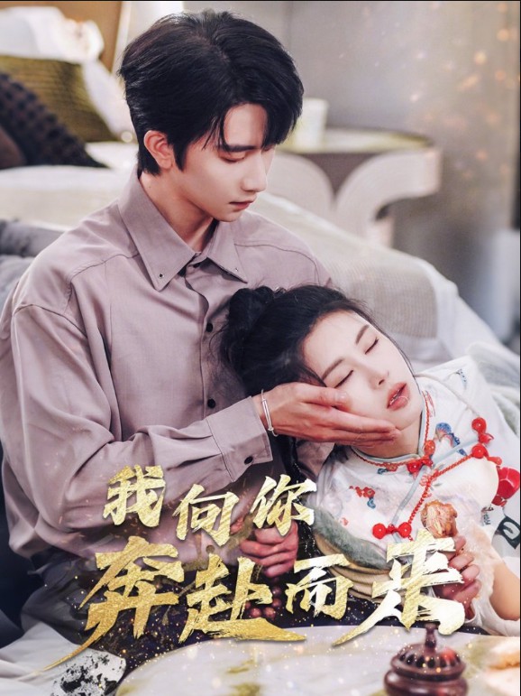 我向你奔赴而来的海报