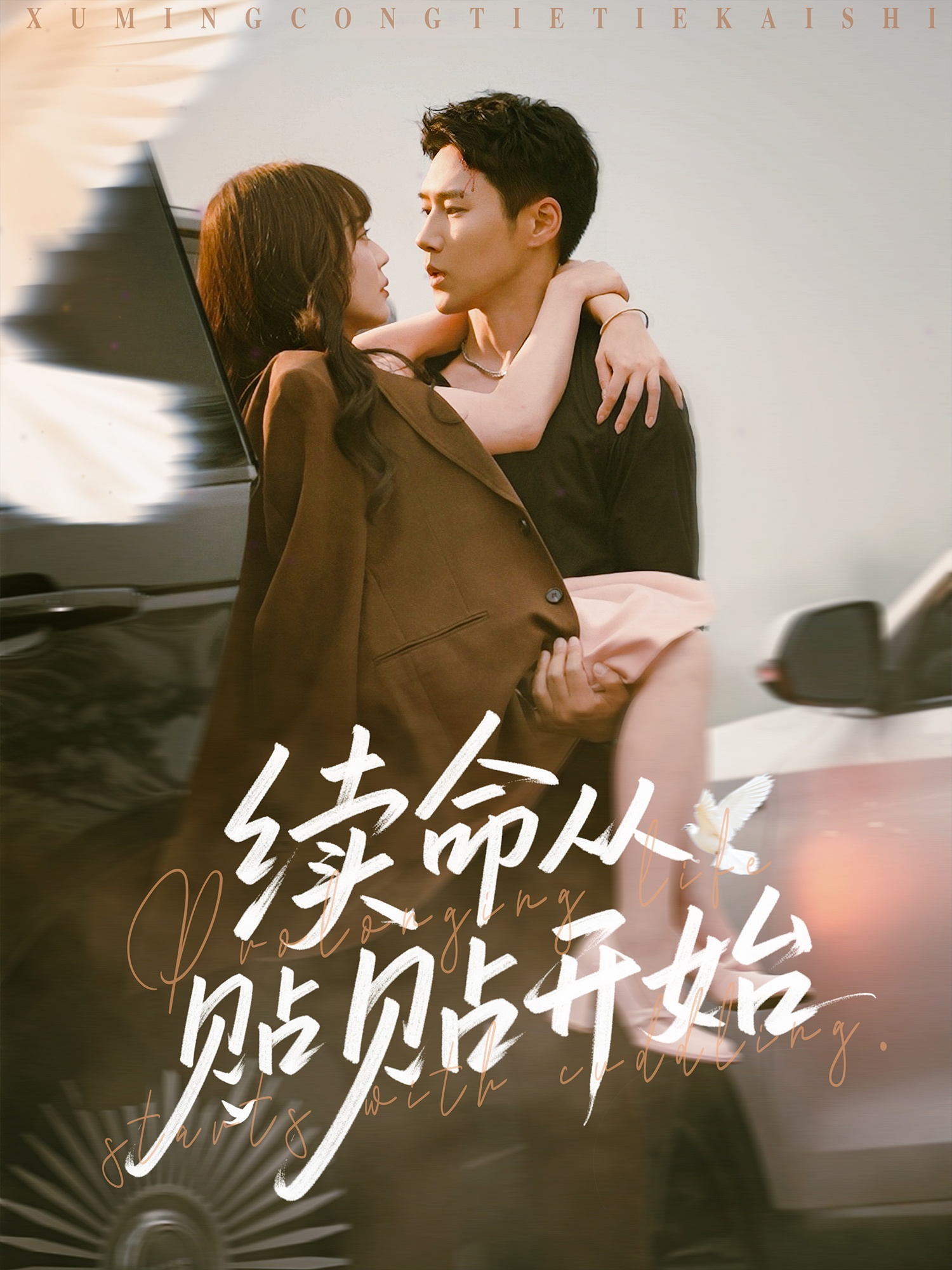 续命从贴贴开始的海报