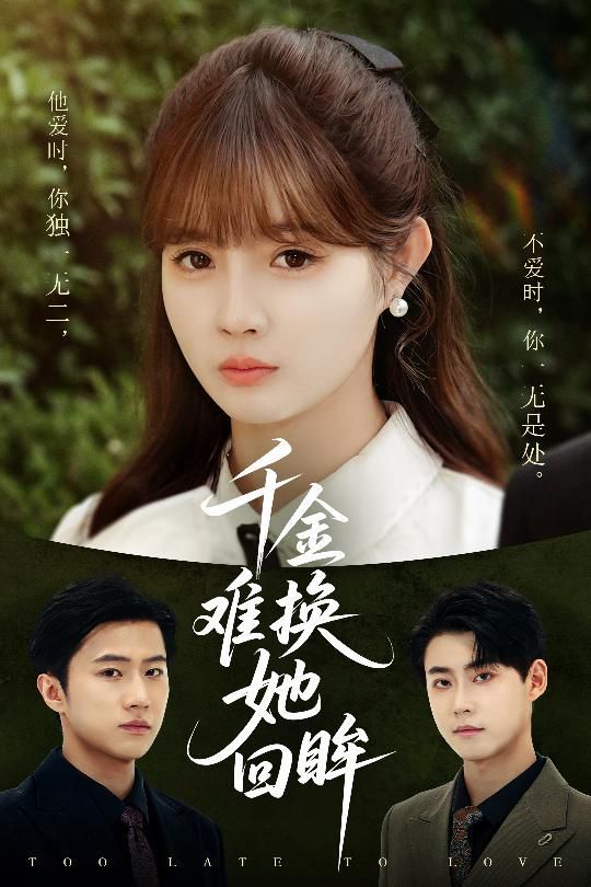 千金难换她回眸的海报