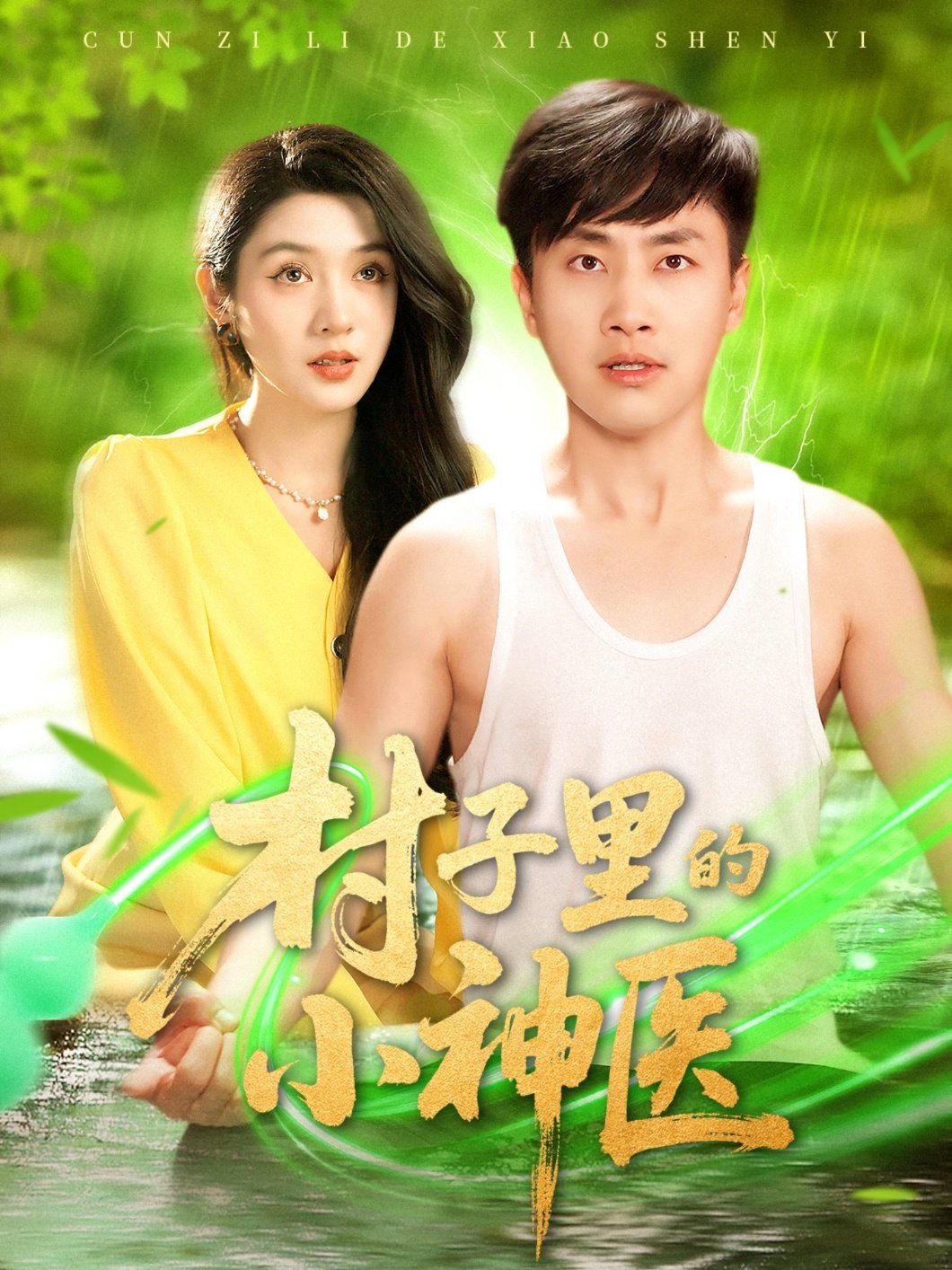 村子里的小神医的海报