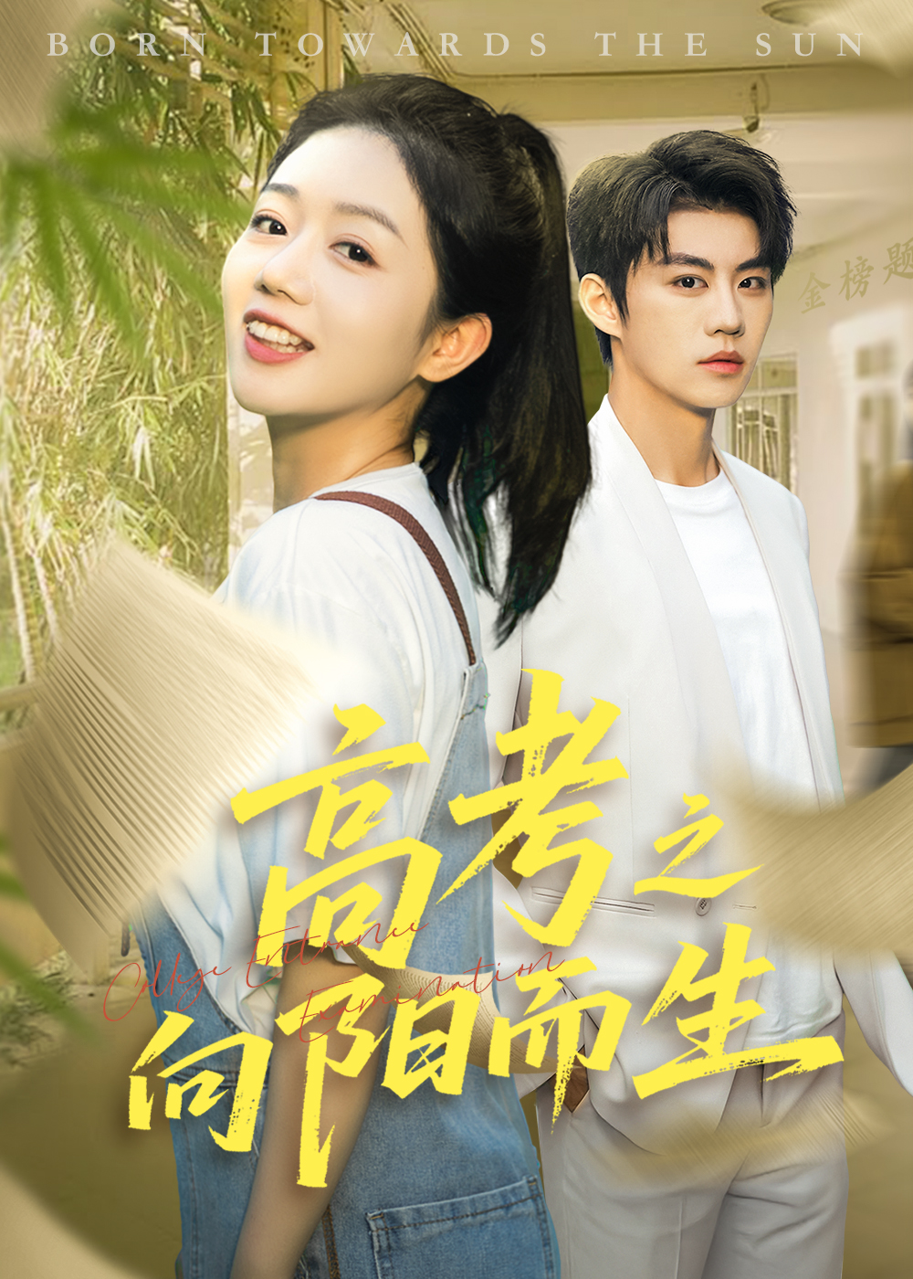 高考之向阳而生的海报