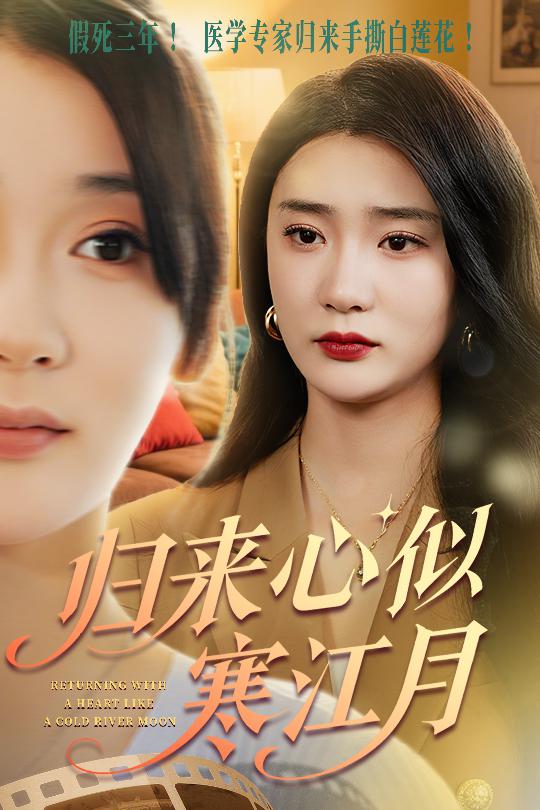 归来心似寒江月的海报