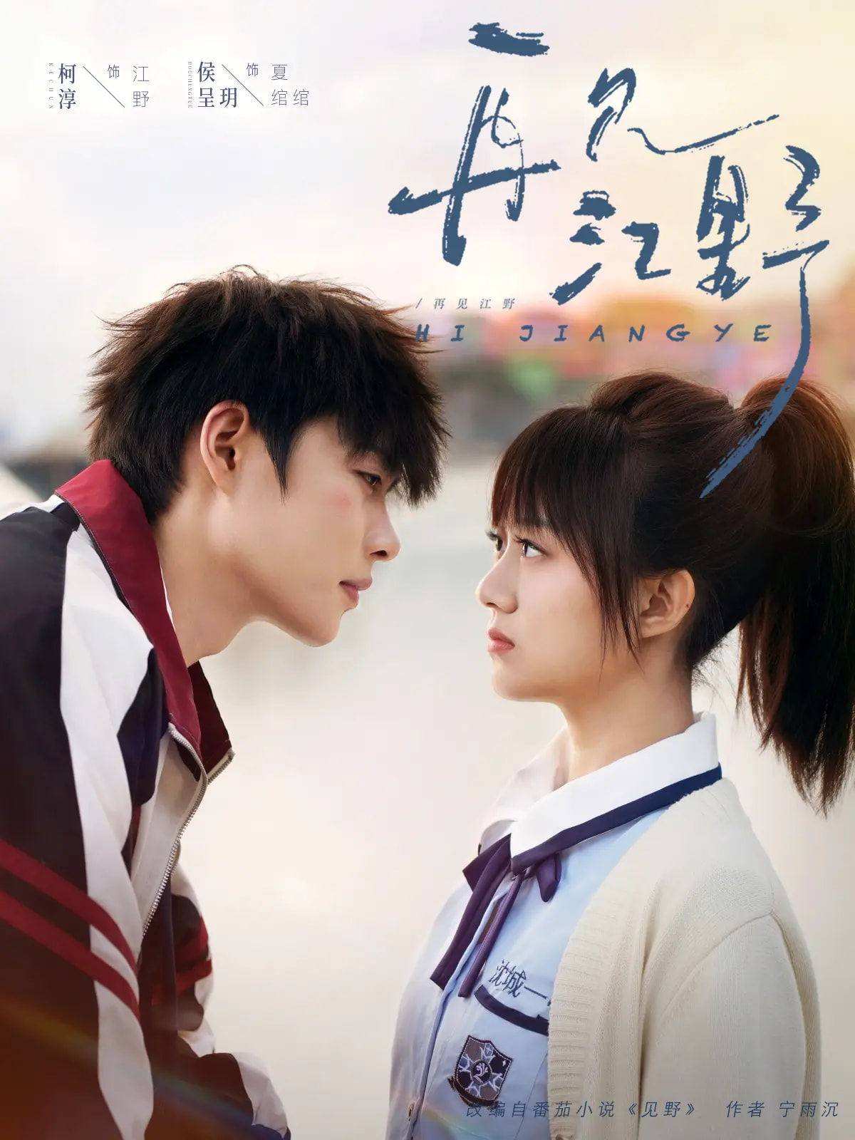 再见江野的海报