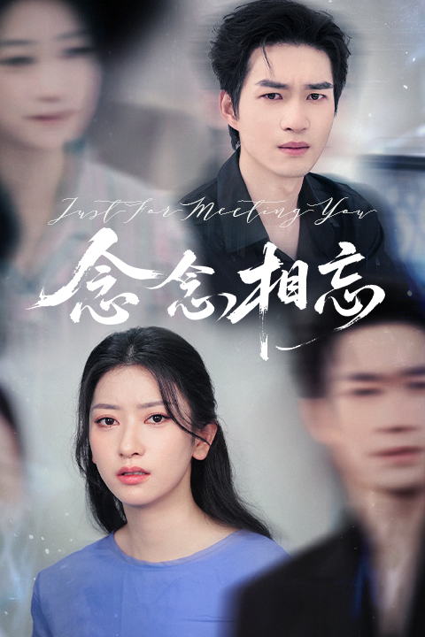 念念相忘的海报