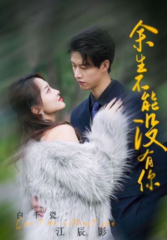 余生不能没有你的海报