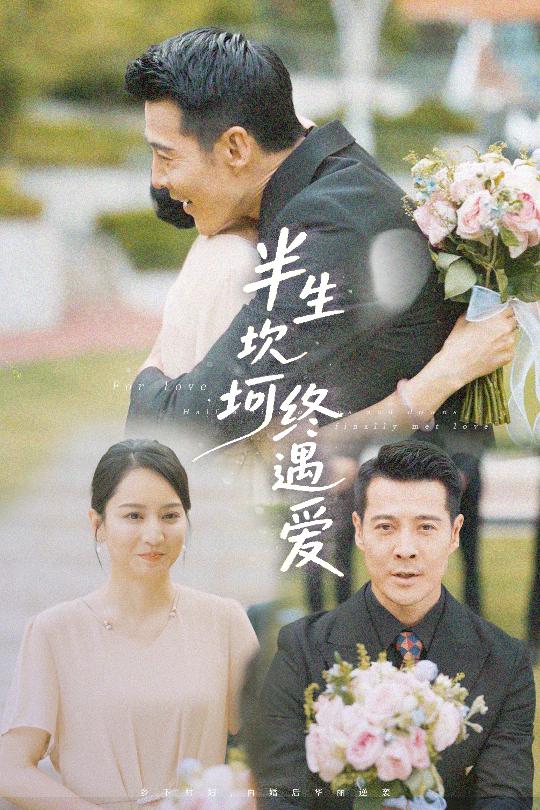 半生坎坷终遇爱的海报