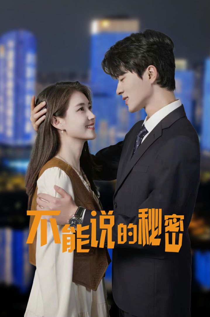 不能说的秘密的海报