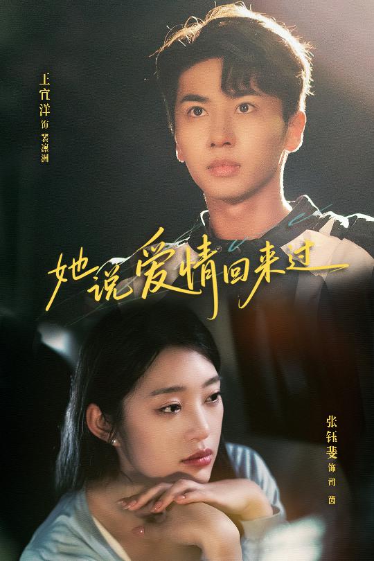她说爱情回来过的海报