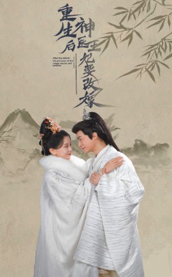 重生后神医王妃要改嫁的海报