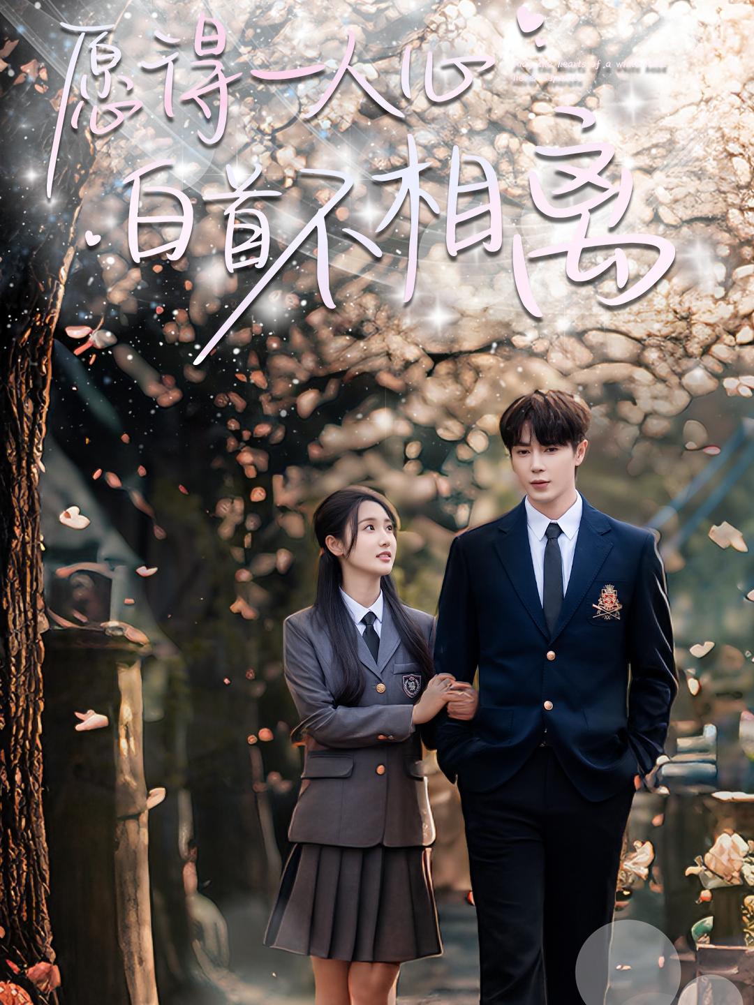 愿得一人心白首不相离的海报