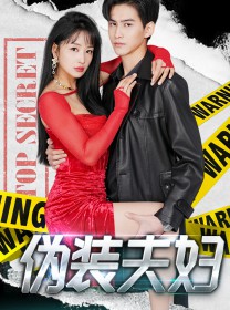 伪装夫妇的海报