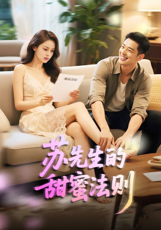 苏先生的甜蜜法则的海报