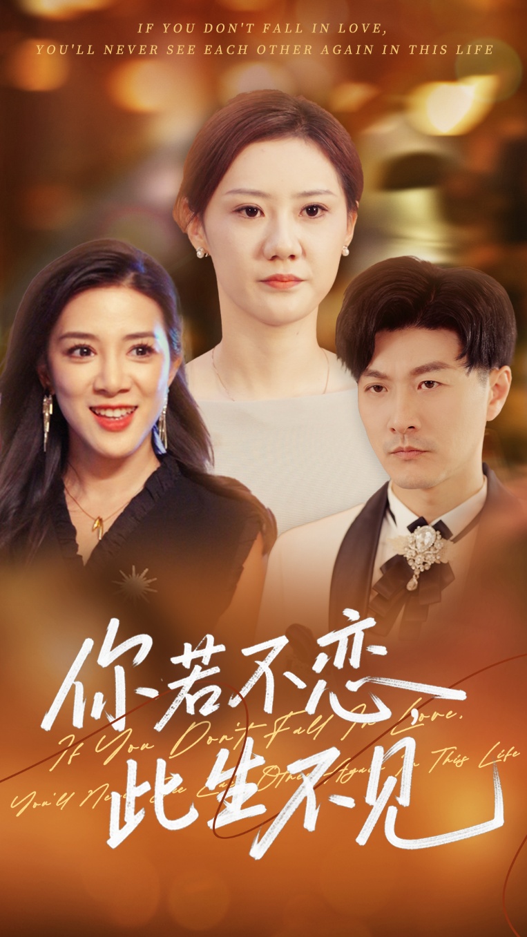 你若不恋此生不见的海报