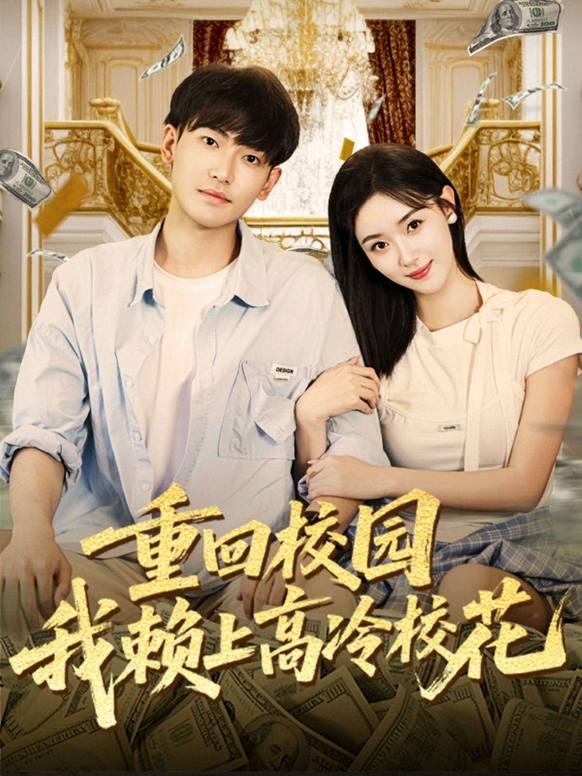 重回校园我赖上高冷校花的海报