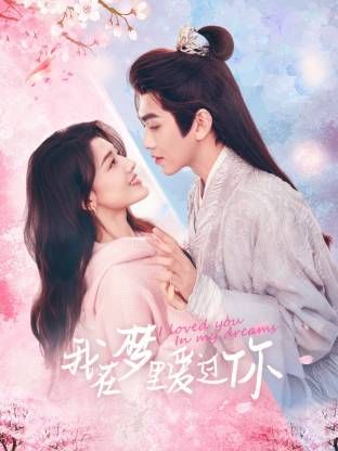 我在梦里爱过你的海报