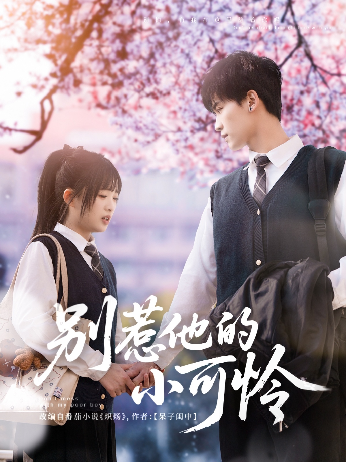 别惹他的小可怜的海报