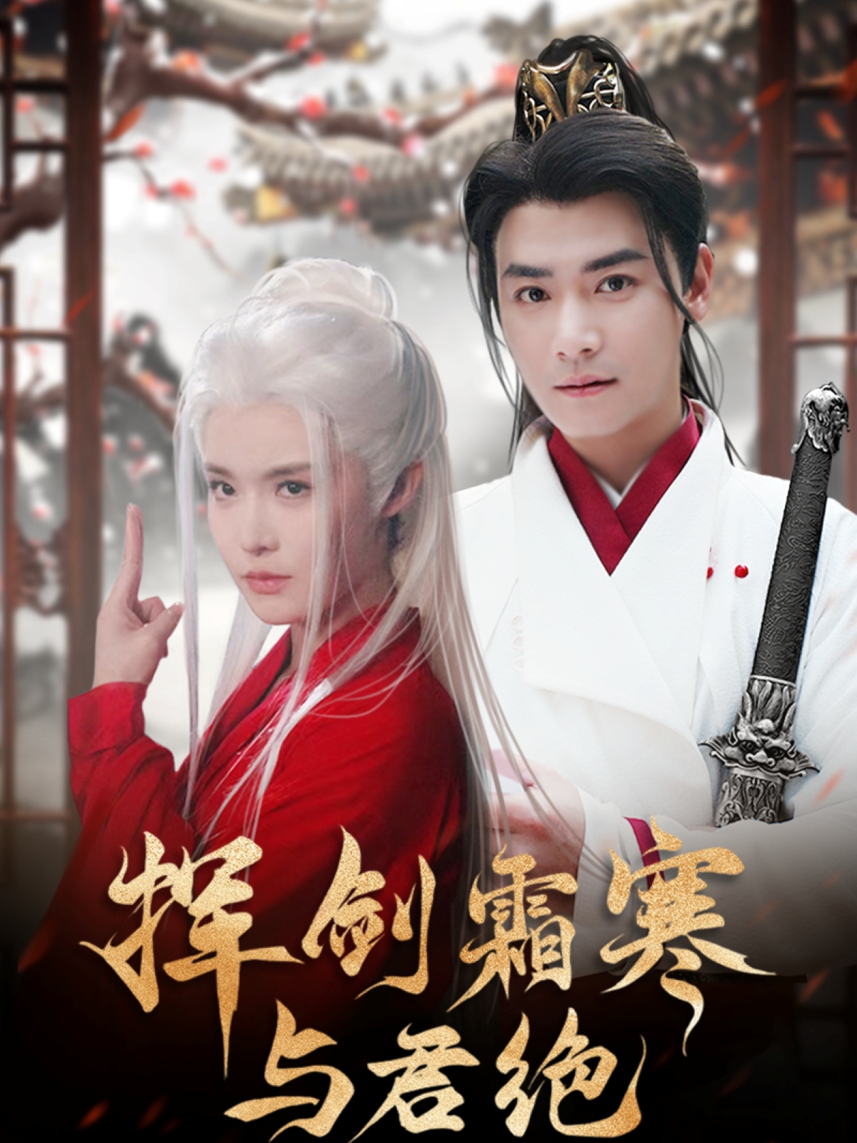 挥剑霜寒与君绝的海报