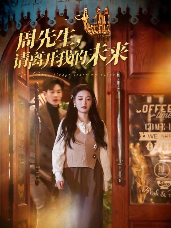 周先生，请离开我的未来的海报