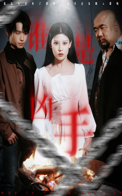 谁是凶手的海报