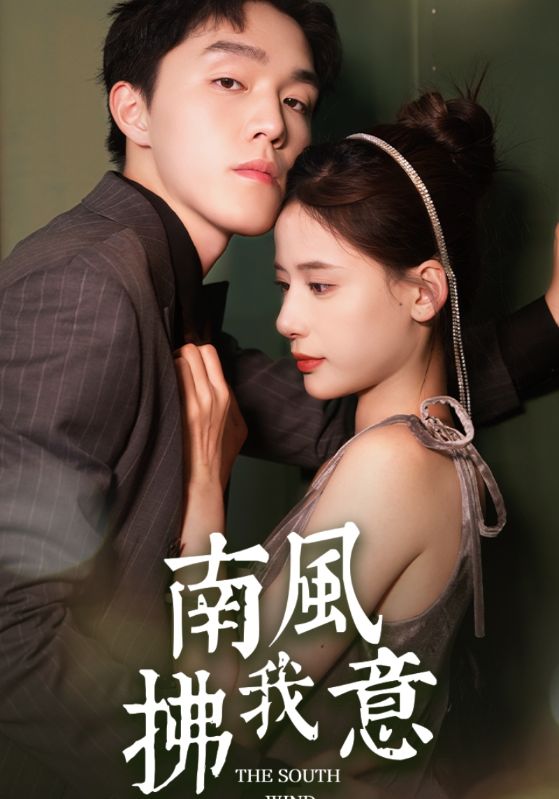 南风拂我意的海报