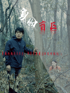 身份盲区的海报