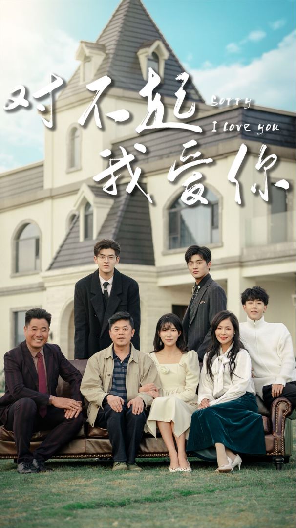 对不起我爱你的海报
