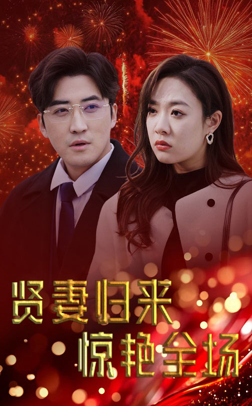 贤妻归来惊艳全场的海报