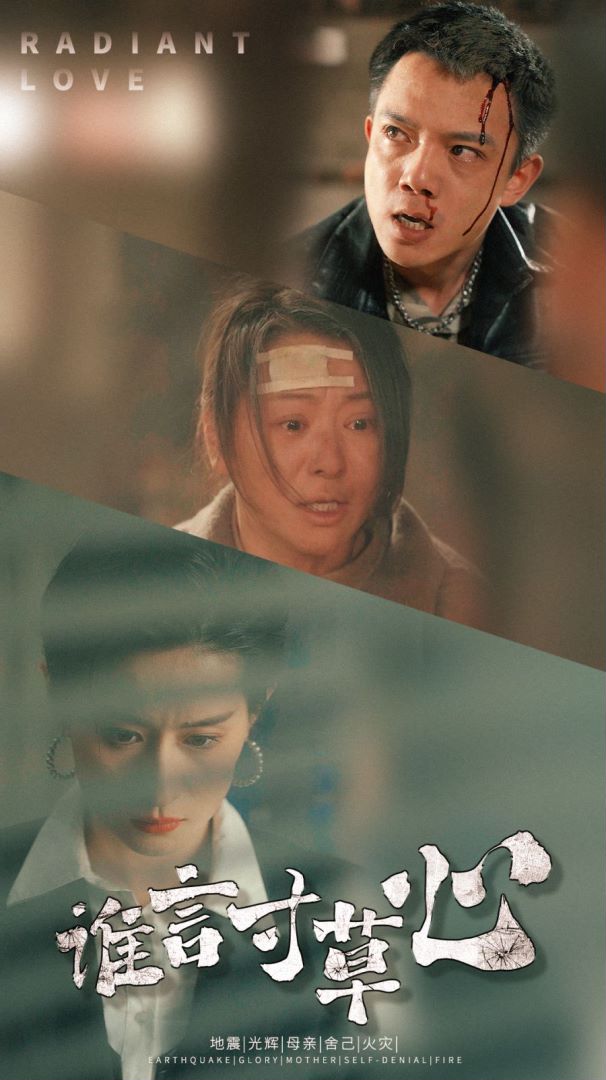 谁言寸草心的海报