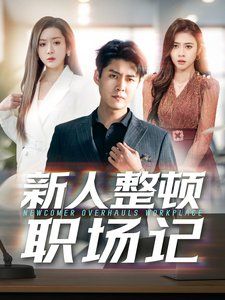 新人整顿职场记的海报