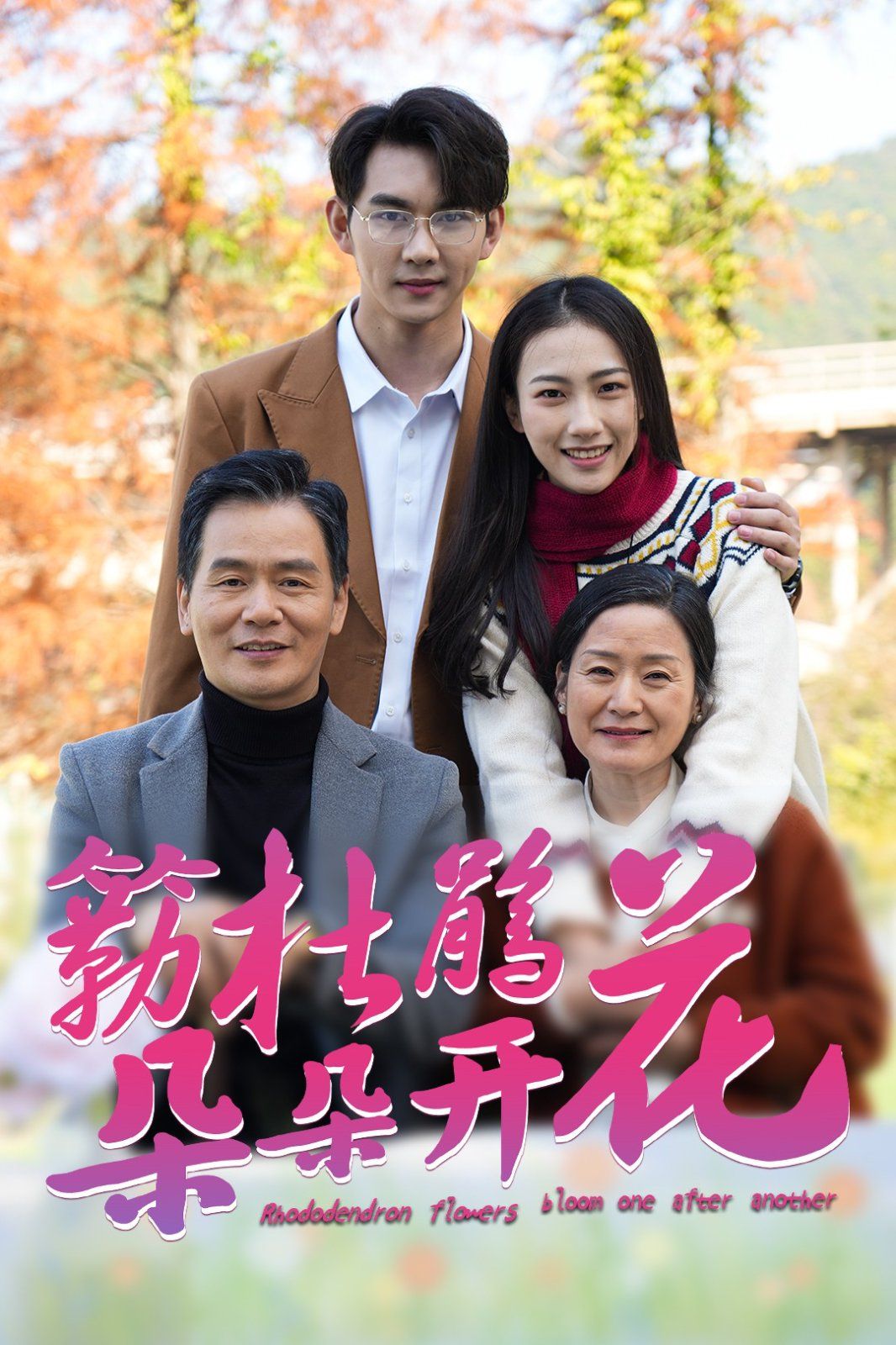 簕杜鹃花朵朵开的海报