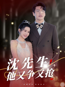 沈先生他又争又抢的海报