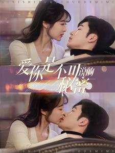 爱你是不可说的秘密的海报