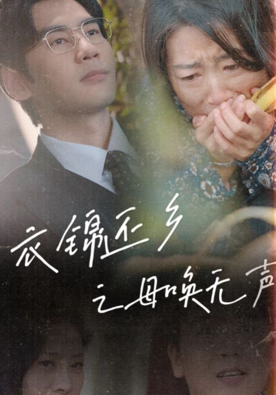 衣锦还乡之母唤无声的海报