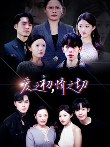 爱之初情之切的海报