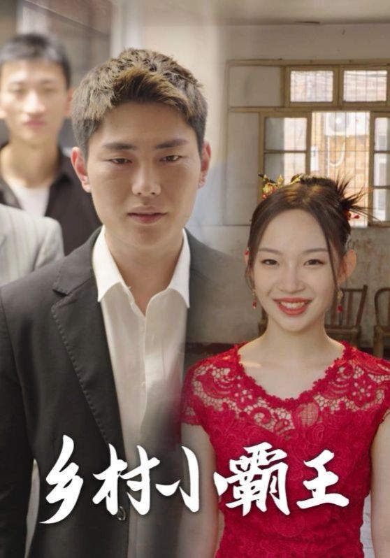 乡村小霸王的海报