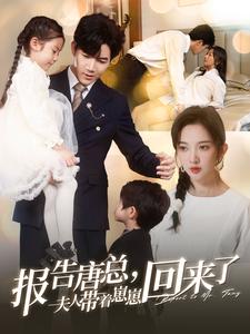 报告唐总夫人带着崽崽回来了的海报