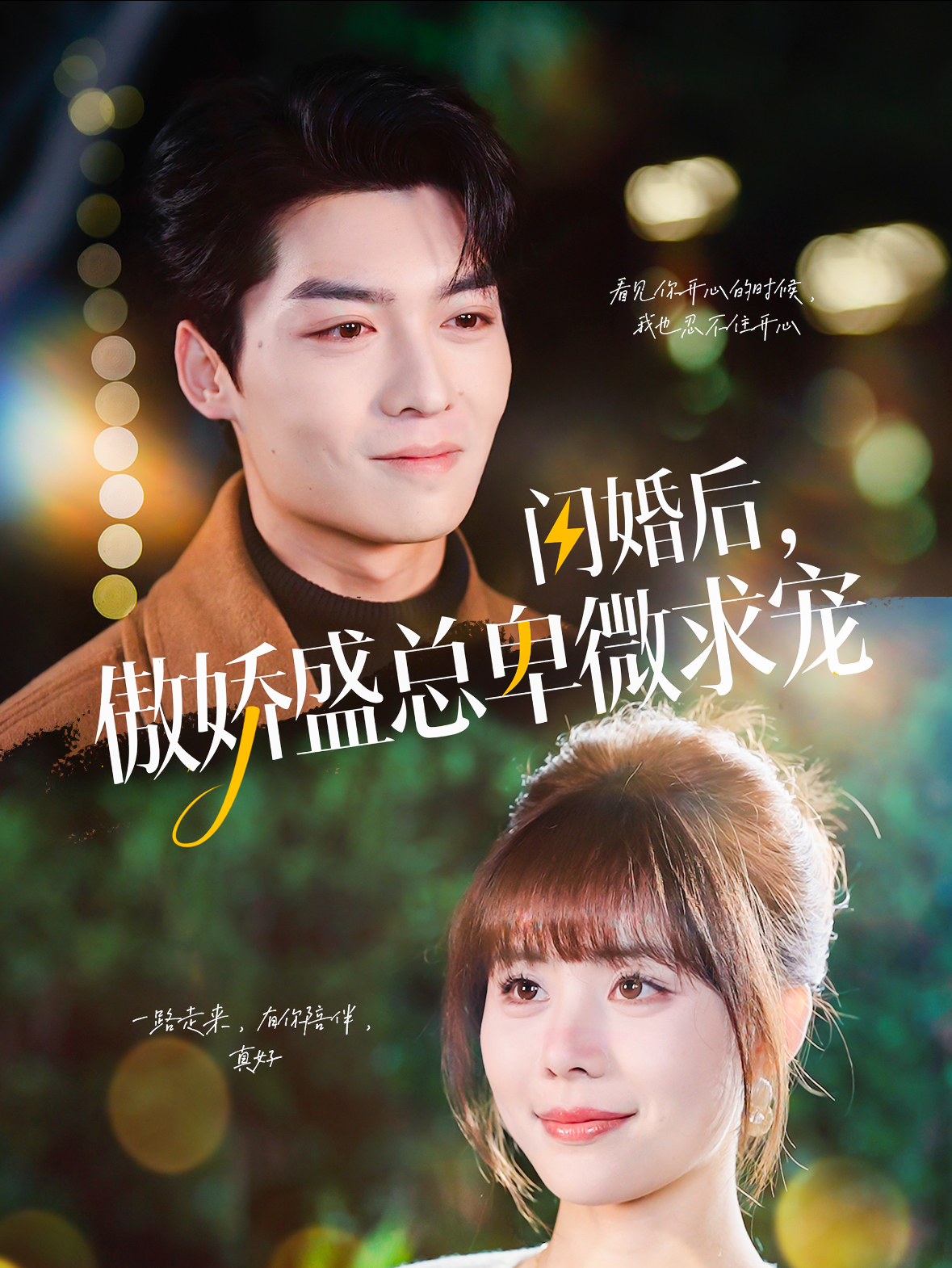 闪婚后傲娇盛总卑微求宠的海报