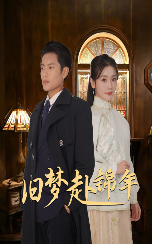 旧梦赴锦年的海报